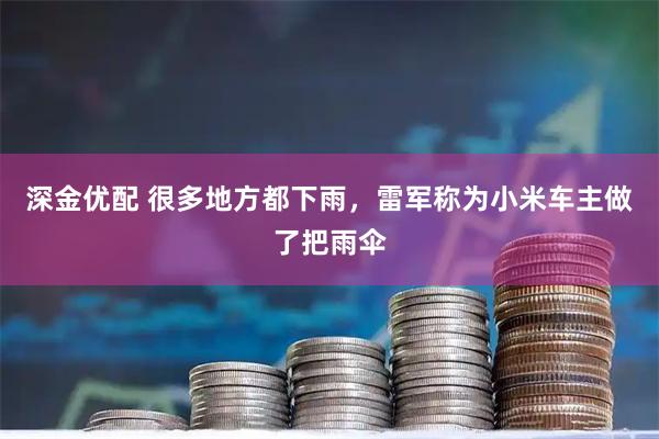 深金优配 很多地方都下雨，雷军称为小米车主做了把雨伞