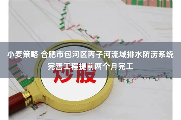 小麦策略 合肥市包河区丙子河流域排水防涝系统完善工程提前两个月完工