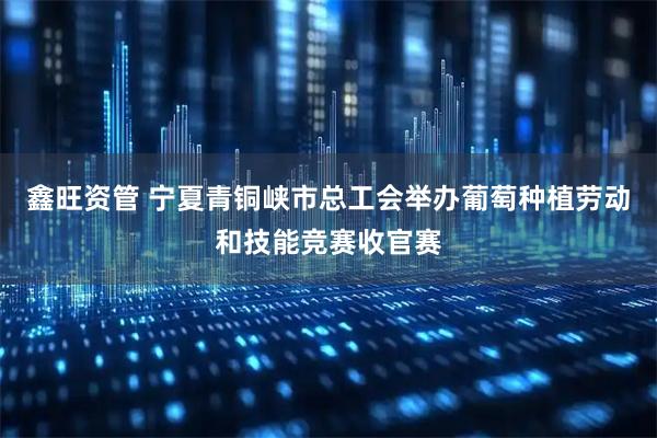 鑫旺资管 宁夏青铜峡市总工会举办葡萄种植劳动和技能竞赛收官赛