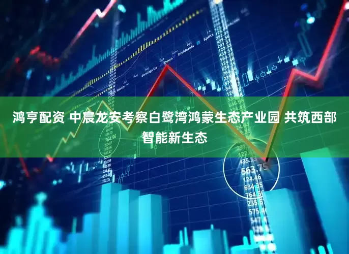 鸿亨配资 中宸龙安考察白鹭湾鸿蒙生态产业园 共筑西部智能新生态